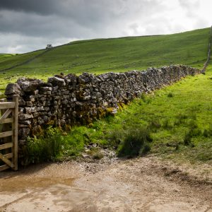 Malham Fields