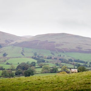 Howgills