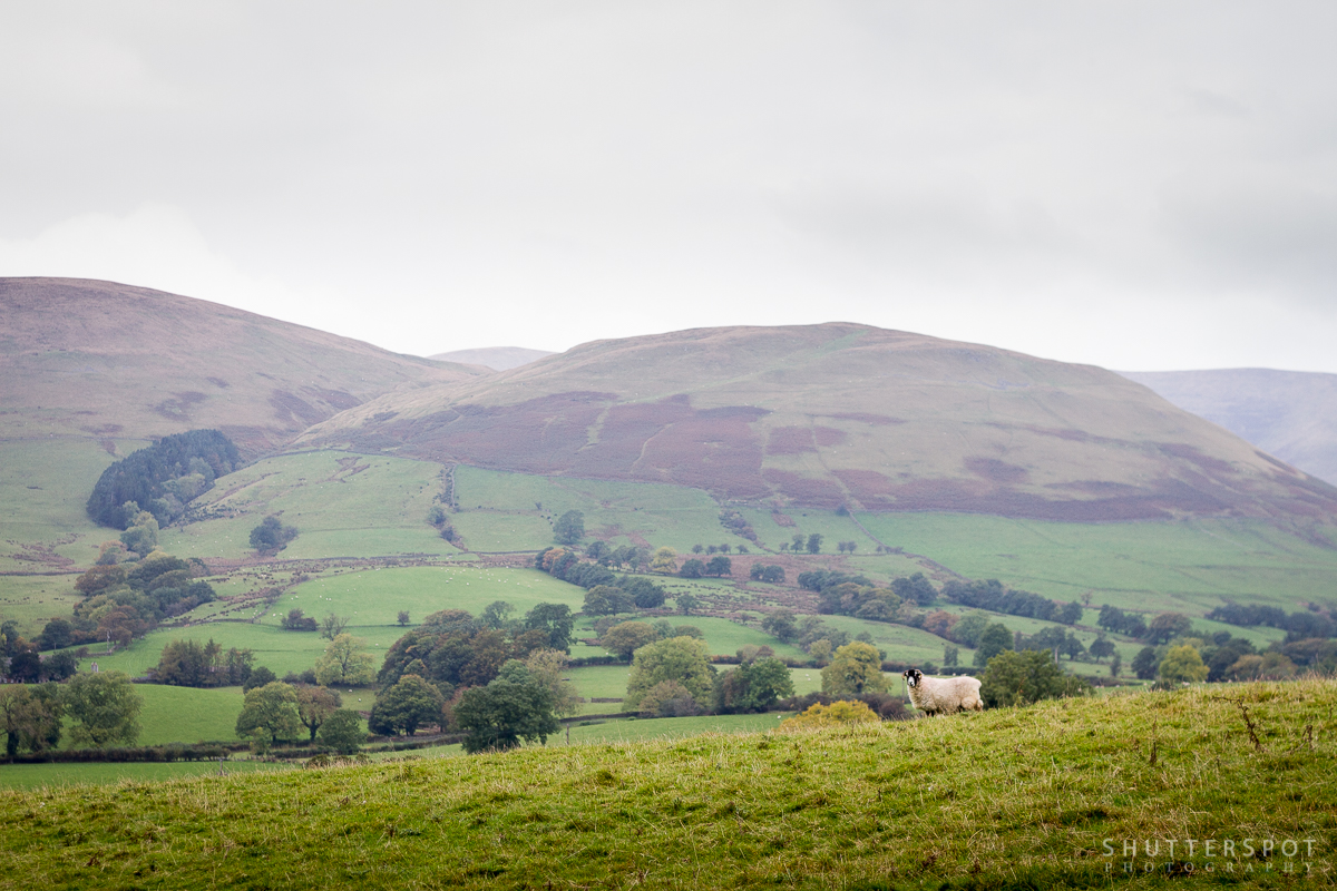 Howgills