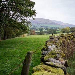 Howgills Portrait