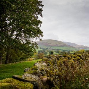 Looking To The Howgills