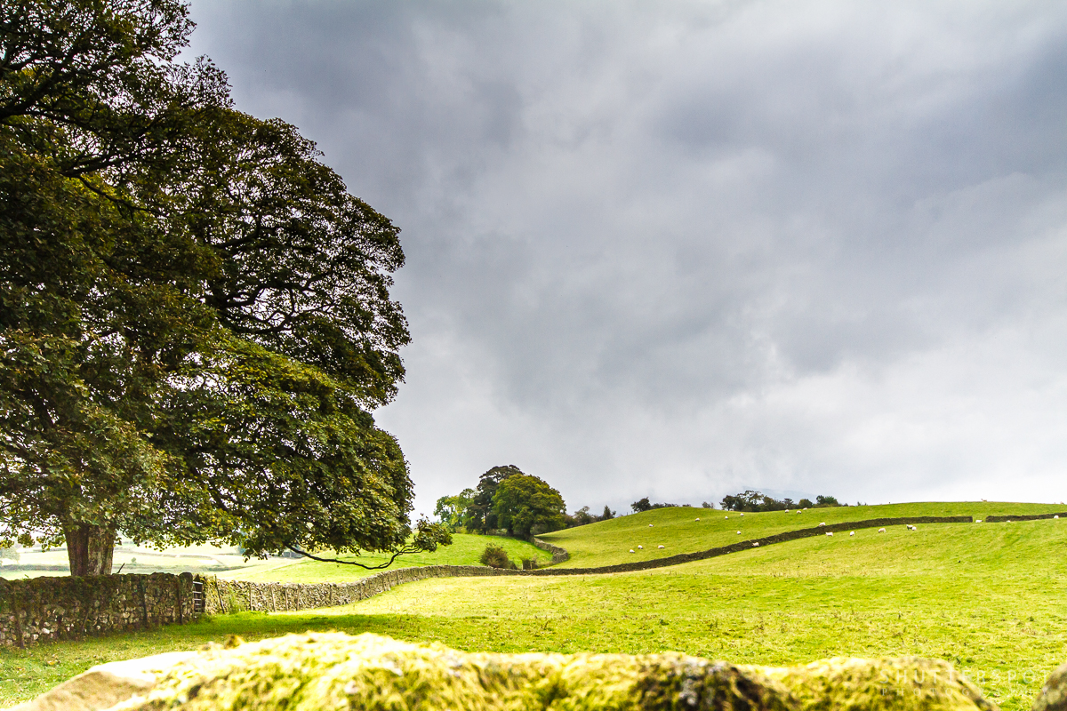 Sedbergh Landscape