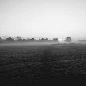 Morning Mist II - Portrait