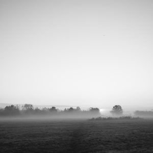 Morning Mist - Portrait