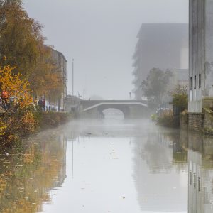 Mist on the canal