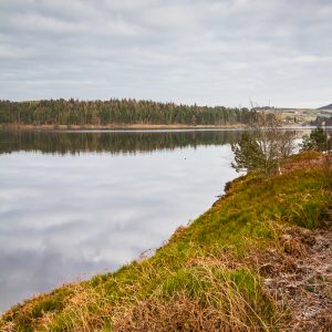 Langsett Reservoir Portrait