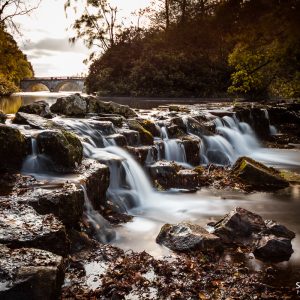 Clumber Park Waterfall Colour