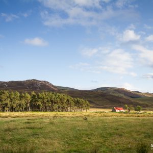 Red House by Aberarder