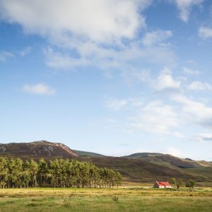 Red House by Aberarder Portrait