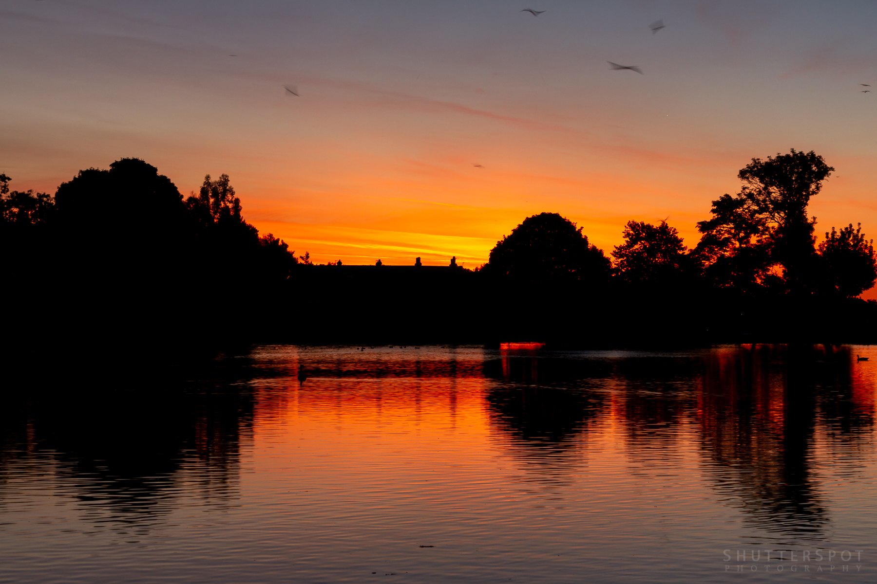 Sunrise over the rooftops